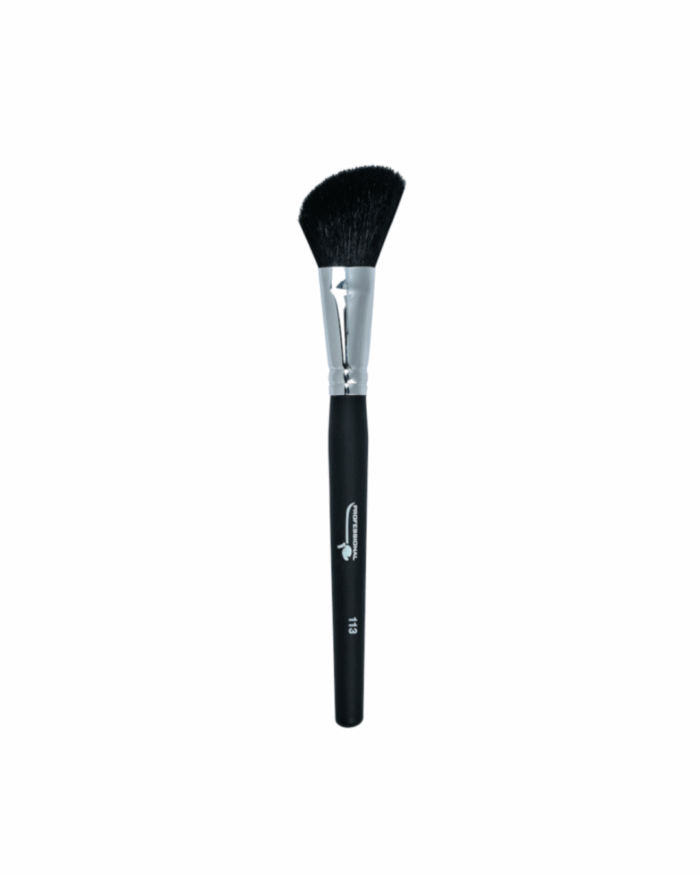 PINCEAU BLUSH BISEAUTE N°113