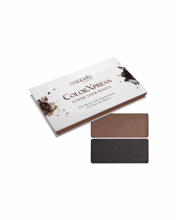PALETTE RACINE COLORXPRESS NOIR / CHATAIN FONCE